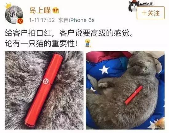 养猫千日，用猫一时！猫咪实用手册，了解一下……