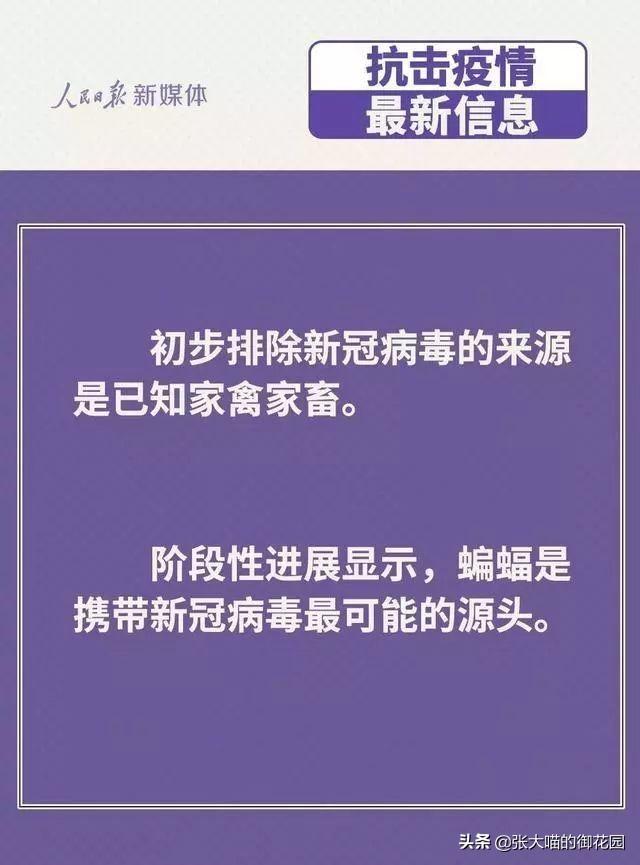 辟谣：怀孕不能养猫？钟南山说：孕妇最好养猫，而且越早越好