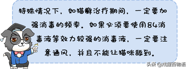 如果家里有小孩还养猫，这个事情不要忽略