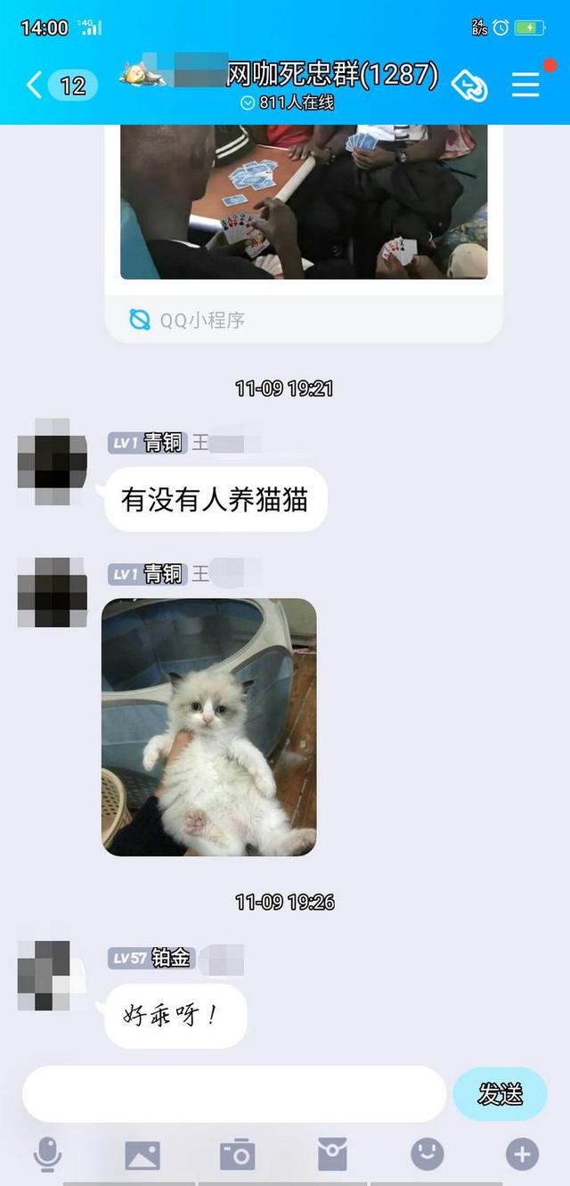 不存在的猫骗了全国多名铲屎官 重庆妹儿报警：交了2900后被拉黑了