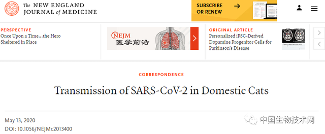 NEJM又有重大发现：猫可以传播新冠病毒，而且无症状，不致命