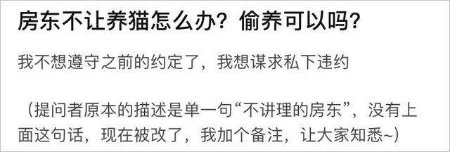 “求问！房东不让我养猫，我可以偷偷养吗？”