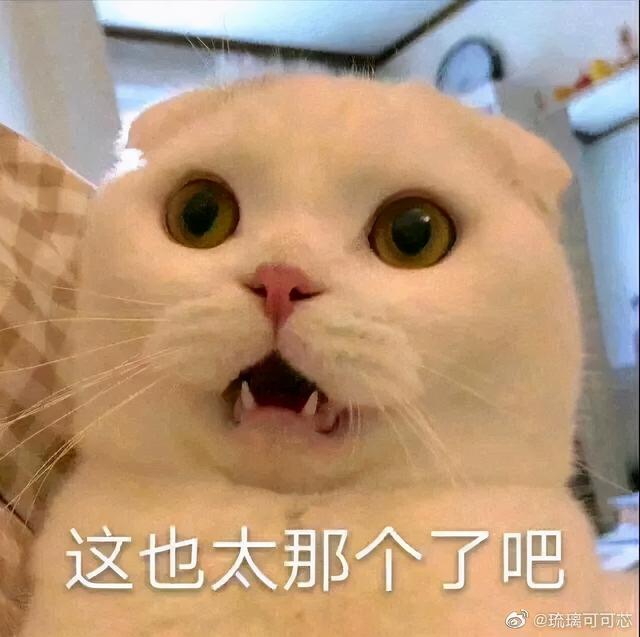 “求问！房东不让我养猫，我可以偷偷养吗？”