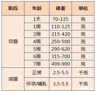 养猫5年，在医院花了上万元后，我终于明白了这些道理