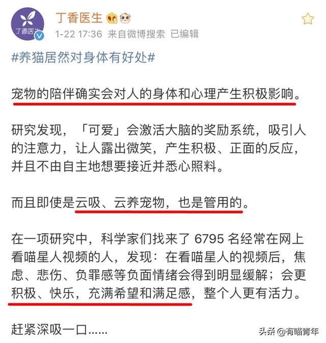 科学证实，养猫吸猫有利于身体健康