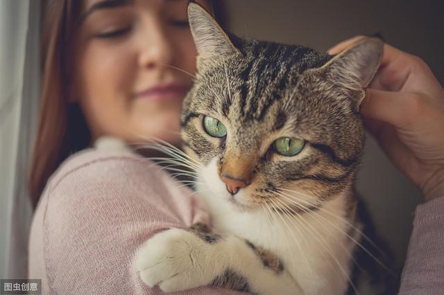 常说“男不养猫，女不养狗”有啥讲究