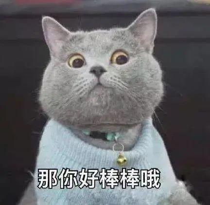 传说养猫之后都会有这5个“副作用”，养猫越久就会越严重？