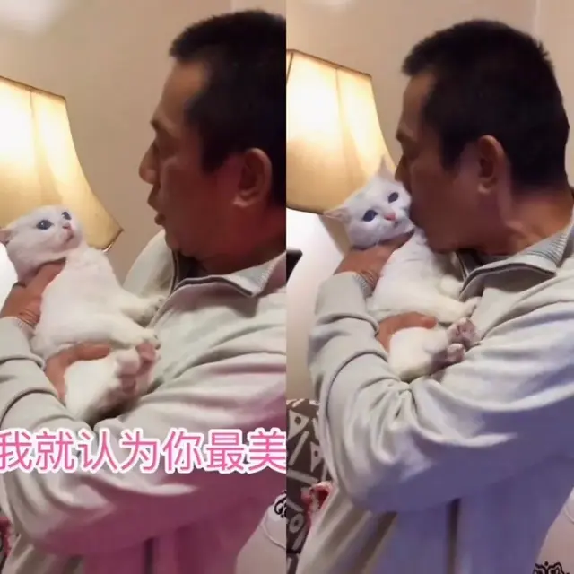 千万别和养猫的男生谈恋爱