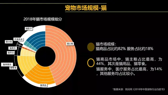 千万别和养猫的男生谈恋爱