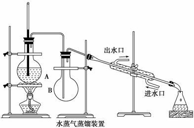 蚊香会让猫咪中毒，养猫家庭的驱蚊妙招，你get到了么？