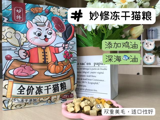 养一只猫和养两只猫有哪些区别？这些方面差别挺大的