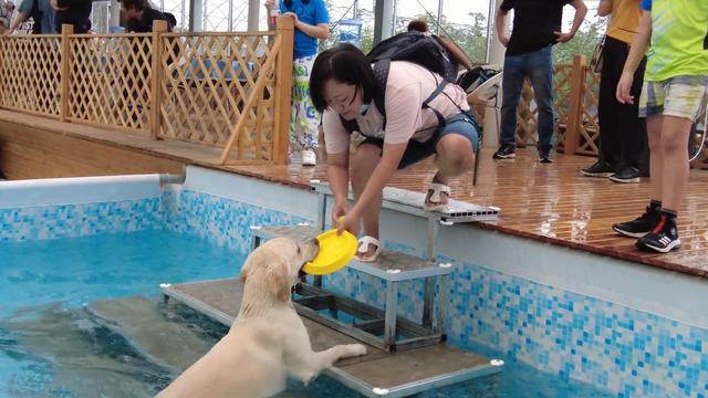 流浪猫有了新归宿！市民可以免费领养