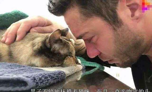 传说养猫之后都会有这5个“副作用”，养猫越久就会越严重？