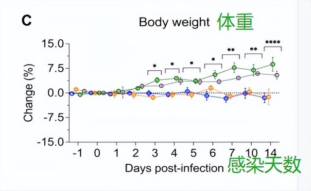 人阳了，会传染给猫吗？猫感染了要怎么办？你想知道的，都在这里