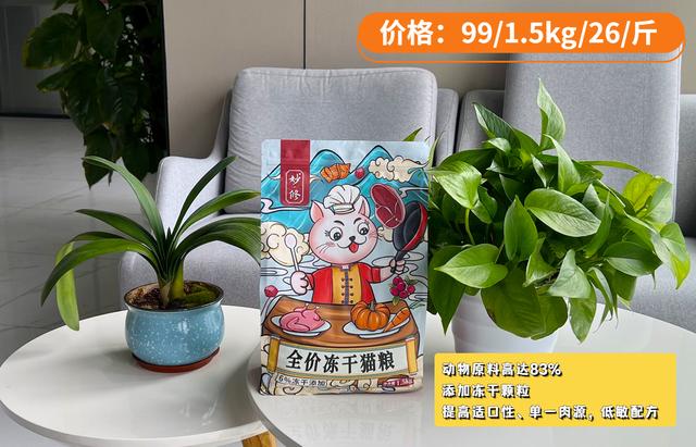 能“旺家”的猫，通常都有这8个特点，中一半就很了不起