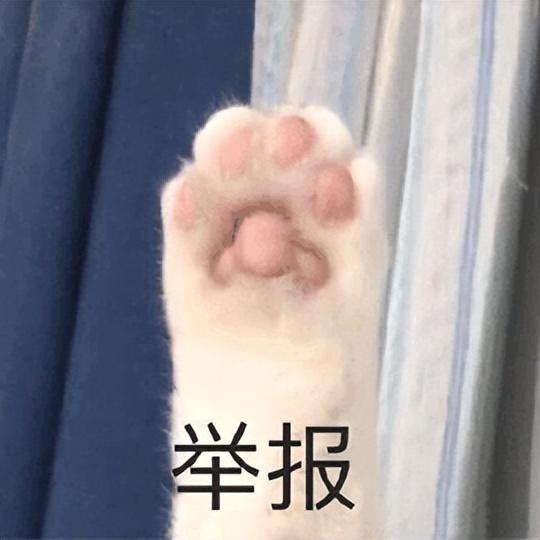 人阳了，会传染给猫吗？猫感染了要怎么办？你想知道的，都在这里