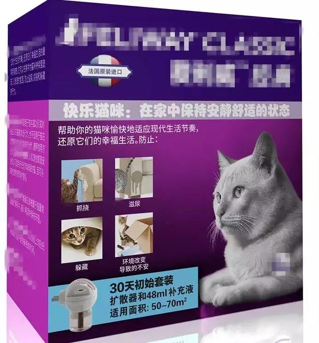 第一次养猫，这些东西一定要备齐~必备！