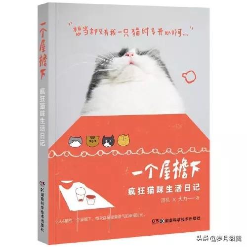 101本关于猫猫的书籍之1-50本，猫猫的书籍原来这么多，欢迎围观