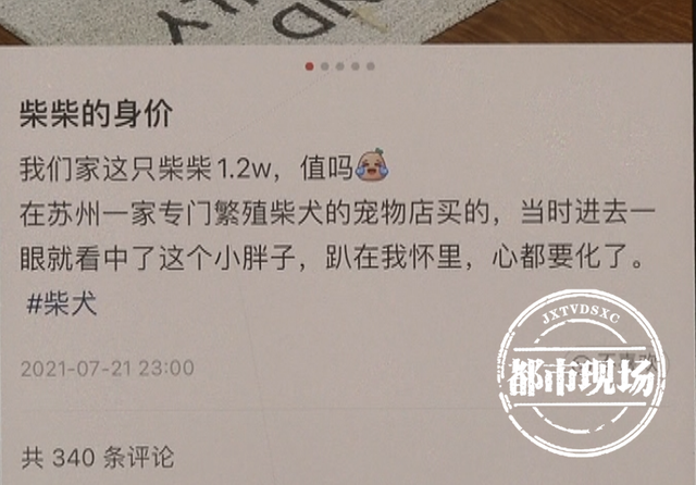 南昌：在闲鱼上买活体宠物，却被带到线下买“病狗”？