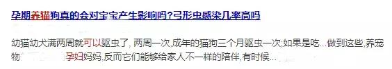 怀孕到底能不能养猫狗？会导致流产或畸形吗？答案全在这里