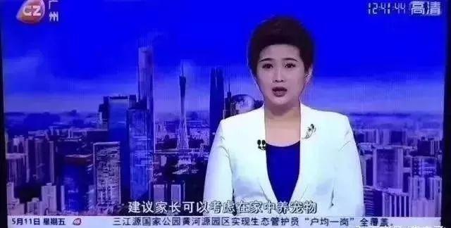 怀孕的流浪猫被收养后，竟然和女主人同时生娃…太有爱了吧