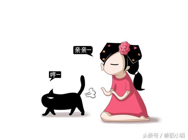 女孩第一次养猫，身上长出红点，吓坏了，结果得知只是猫癣