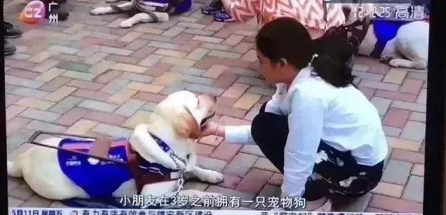 怀孕的流浪猫被收养后，竟然和女主人同时生娃…太有爱了吧