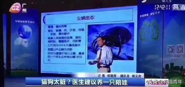 科学证实，养猫吸猫有利于身体健康