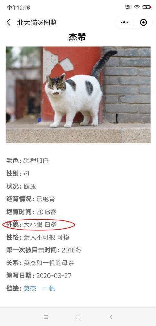 北大学生为流浪猫建档，连“叫声”都能一键获取