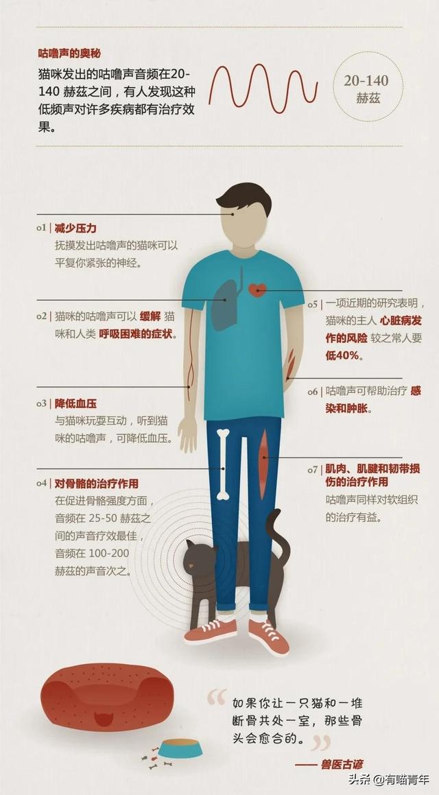 科学证实，养猫吸猫有利于身体健康