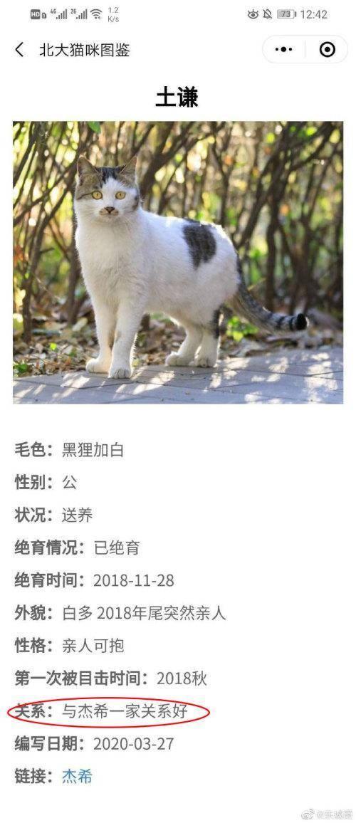 北大学生为流浪猫建档，连“叫声”都能一键获取