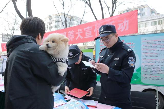 设置“试养期”一年！2023年太原273只收容犬被爱心人士领养