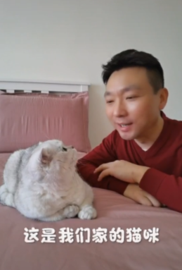 康辉沉迷养猫，竟是因为她？他家的猫真能看懂新闻联播吗？