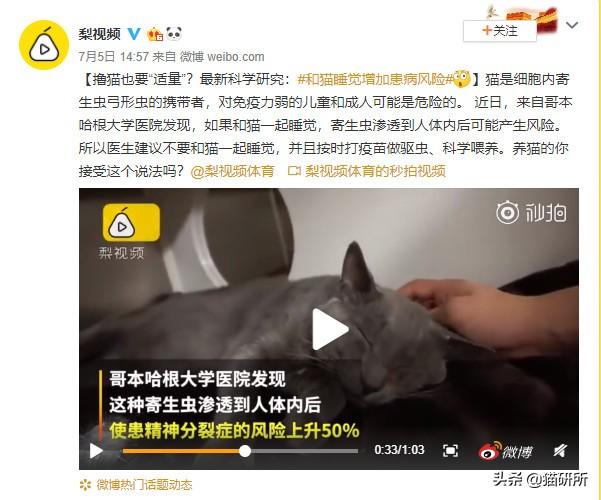 怀孕就不能养猫？从备孕开始的10大隐患疑惑解答