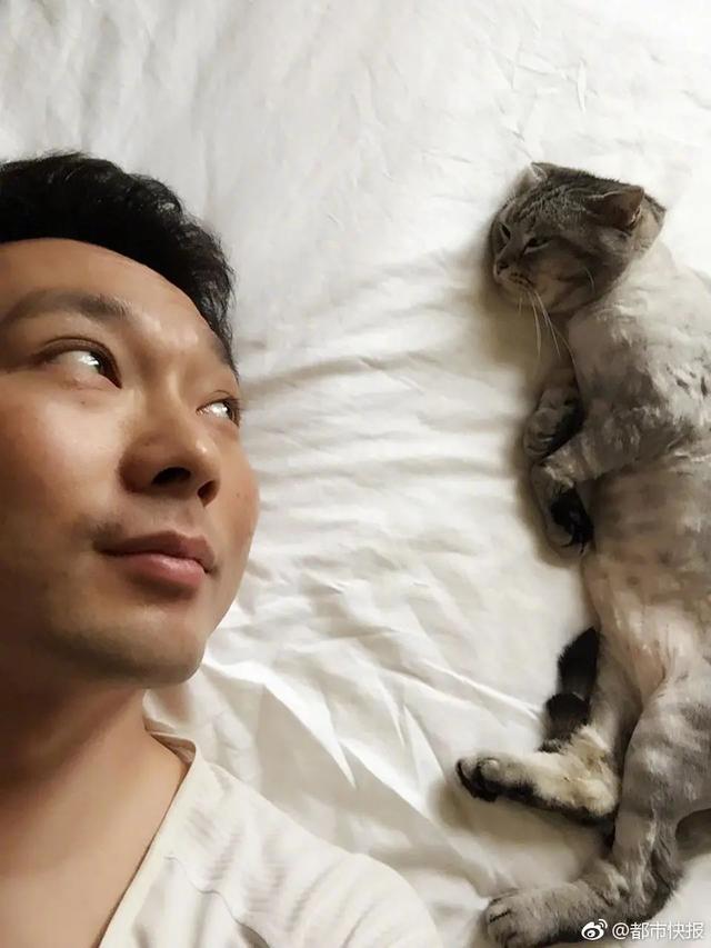 康辉沉迷养猫，竟是因为她？他家的猫真能看懂新闻联播吗？