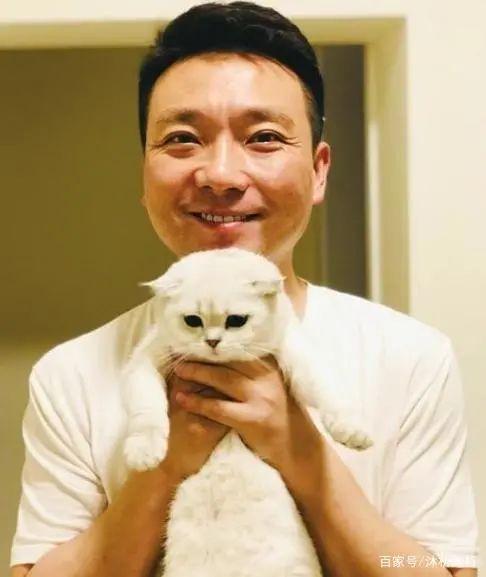 康辉沉迷养猫，竟是因为她？他家的猫真能看懂新闻联播吗？