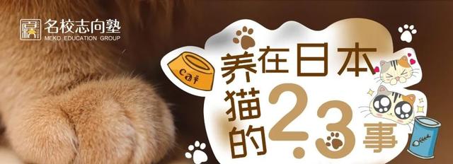 名校志向塾——留学生日本养猫指南