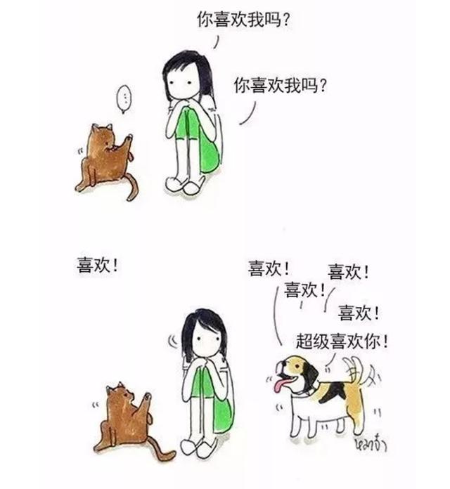 养猫vs养狗的一些区别，主人享受了不同的待遇