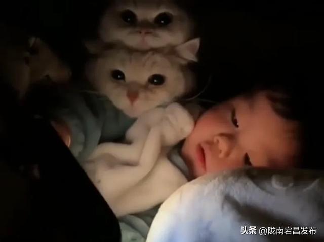 网友说养猫之后养娃会被笑死，我不信，点开一看，猫猫委屈，但猫猫不说