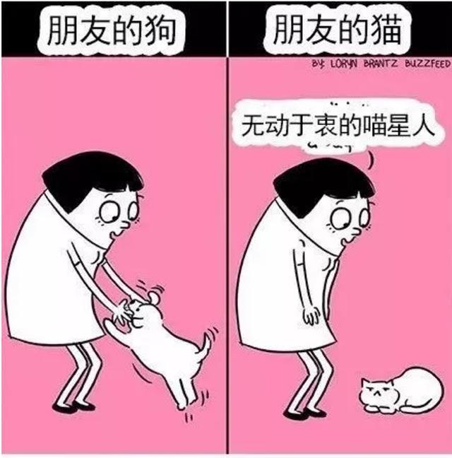 养猫vs养狗的一些区别，主人享受了不同的待遇