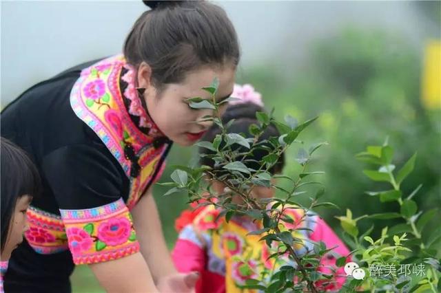 前方注意！一大波美女来袭