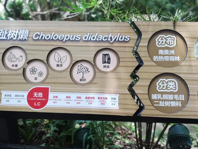 来广州长隆野生动物世界玩，比想象中满意