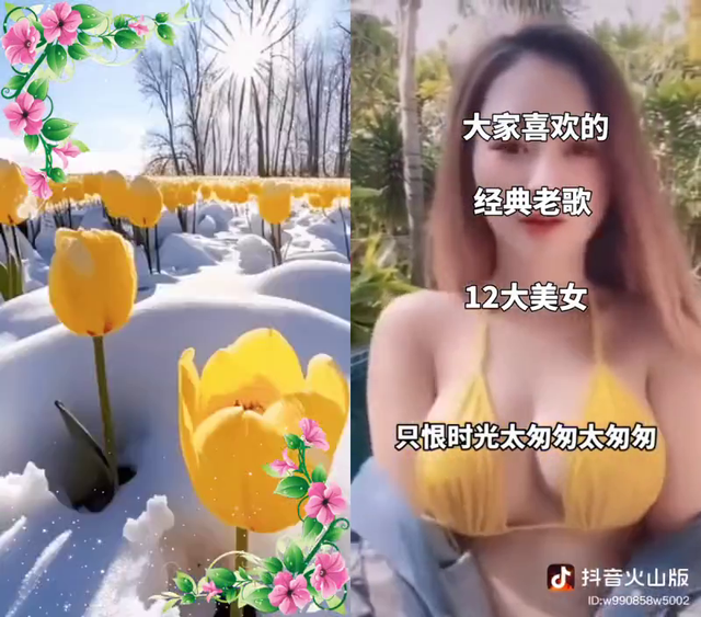 12大美女：浪儿：负心的人一辈子忘不了