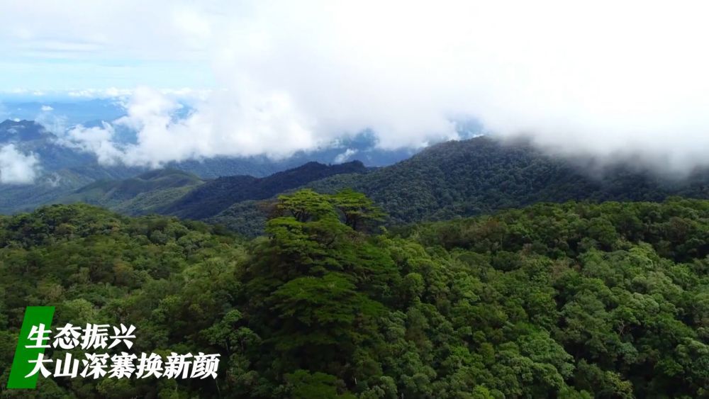 微视频｜看广袤乡村新面貌 绘乡村振兴锦绣图